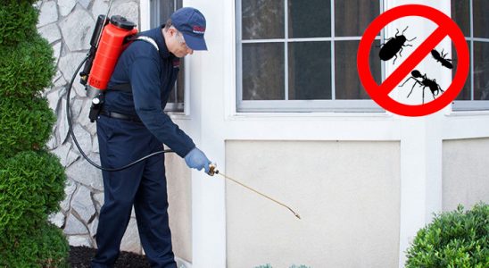 Kırıkkale Kene İlaçlama böcek ilaçlama ve haşere kontrolü — ilaclama-tr.com